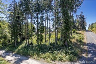 0 Linda View Ln Unit NWM2374154, Port Ludlow, WA 98365