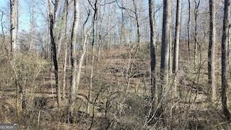 LOT 1 AND 2 Tom Hunt Rd, Cleveland, GA 30528