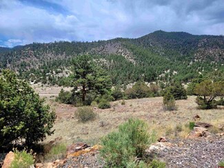 2423 Bear Creek Cir, South Fork, CO 81154
