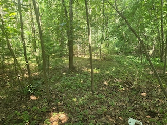 VL Whitehall Rd, Whitehall, MI 49461