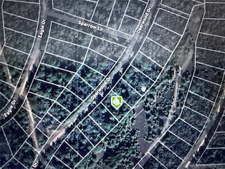 TBD Deerwood Dr, Hempstead, TX 77445