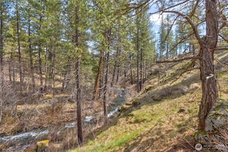 0 Box Canyon Rd Unit NWM2402336, Goldendale, WA 98620