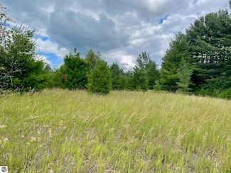 987 Quail Rd SW, Kalkaska Township, MI 49646