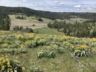 X Egypt Loop Rd, Davenport, WA 99122