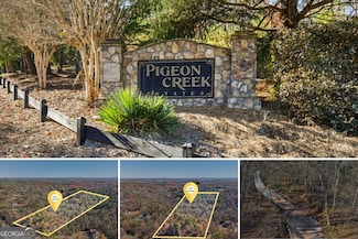 29 Pigeon Creek Dr, Dawsonville, GA 30534