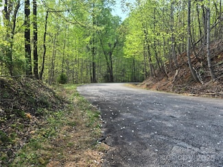 Lot 15 Touch Me Not Trail, Lake Lure, NC 28746