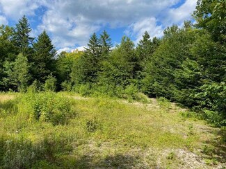 WA2 Partridge Knoll, Cathance Township, ME 04628