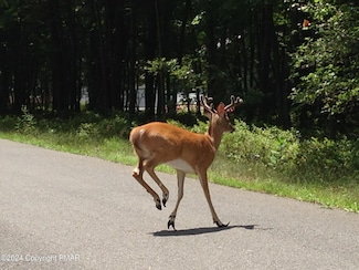 B546 Teddyuscung Trail, Penn Forest Township, PA 18210