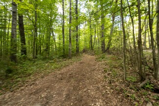 0 E Grand Blvd Unit 201831767, Topinabee, MI 49791