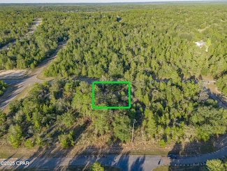 0000 Shenandoah Blvd Unit Lot 3, Chipley, FL 32428