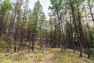 Nhn Black Lake Rd, Rexford, MT 59930