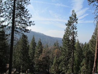 7343 Yosemite Park Way, Wawona, CA 95389