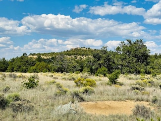 XX Latigo Loop, Pie Town, NM 87827
