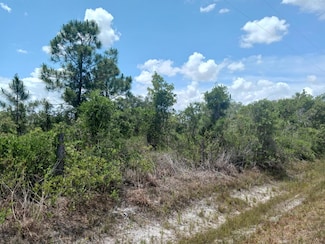 16422 NW 306th St, Okeechobee, FL 34972