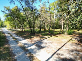 0 Gerbarjo St Unit 371018, Sopchoppy, FL 32358