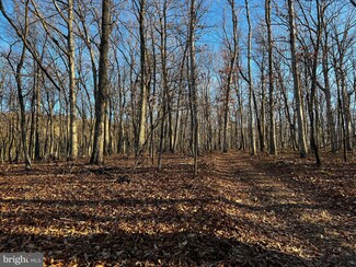 313 AC S Fork Rd, Moorefield, WV