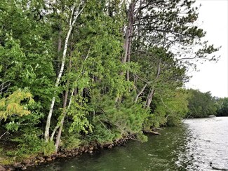 Parcel 2 Wilson Lake Cir E, Mercer, WI 54547
