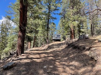 Lot 3, Block 3 Unit Pecos Canyon Estates, Pecos, NM 87552