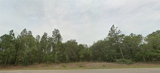 1918 W Adelia Place, Citrus Springs, FL 34434