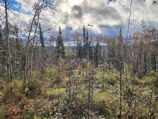 NHN Ellesmere Dr, Fairbanks, AK 99709