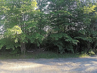 Lot 21 Bradford Station Rd, Alton, ME 04468