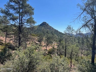 901 S Monument Valley Unit 164, Payson, AZ 85541
