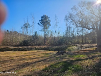 1200 Anderson Rd, Willard, NC 28478