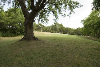 5500 Cedar Ridge Dr, Dallas, TX 75236