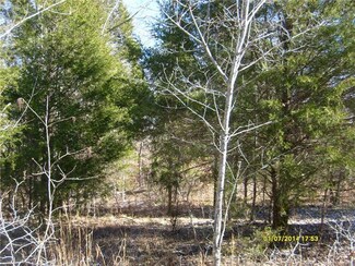 0 Jaxton Ln Unit 1598200, Loretto, TN 38469