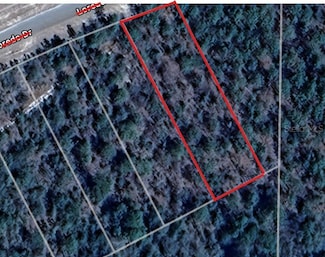 Lot 25 Goodman Hill Rd, Chipley, FL 32428