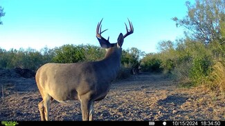 0 Farm To Market 716 Unit 449956, Realitos, TX 78376
