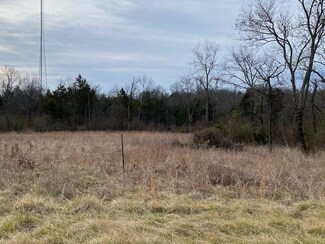 Lot 4 Harp Ln, Kirbyville, MO 65679