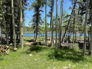 Lot 40 AB Hidden Lake Cir, Angel Fire, NM 87710