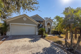 1734 Powder Ridge Dr, Valrico, FL 33594