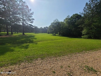 0 Thompson Ln Unit 4117254, Carriere, MS 39426