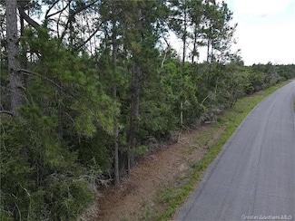 0 Sandy Ln, Dequincy, LA 70633