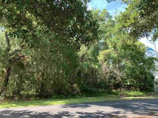 Lot 32 Luvan Blvd, Georgetown, SC 29440