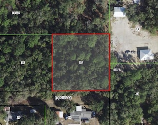 10641 E Bates Ln, Inverness, FL 34450