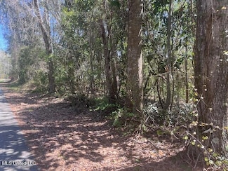 Lot 21 Hickory Dr, Ocean Springs, MS 39564