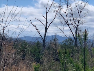 0 Jones Mountain Rd Unit 7544086, Talking Rock, GA 30175
