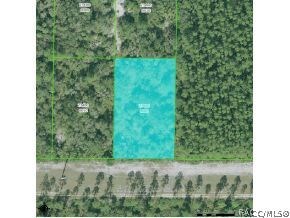 11041 N Clamdigger, Inglis, FL 34449