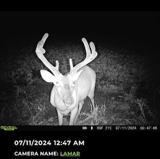 730 Country Church Rd, Lamar, MS 38642