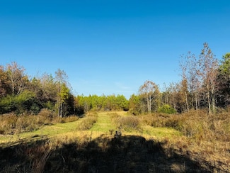 Cr 4210, Sallis, MS 39160