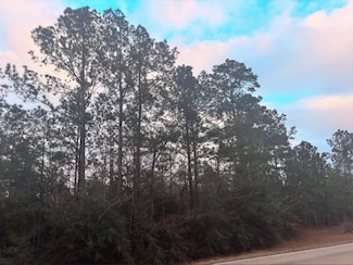 0 Tbd Chaffee Rd Unit 20-458, Leesville, LA 71446