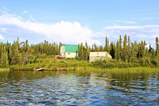 L7  3501 No Road Lake Susitna, Glennallen, AK 99588