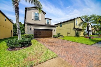 20026 Date Palm Way, Tampa, FL 33647