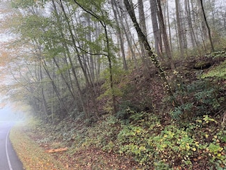 00 Whitepath Rd, Ellijay, GA 30540