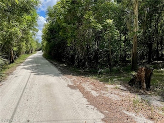 1091 NW Hodent Rd, Arcadia, FL 34266