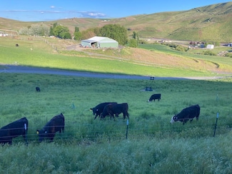 Lot 10 Cactus Ln Unit 10, Lewiston, ID 83501