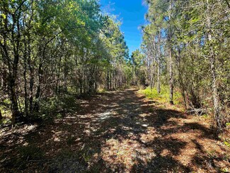 1 Federal Rd, Lamont, FL 32336
